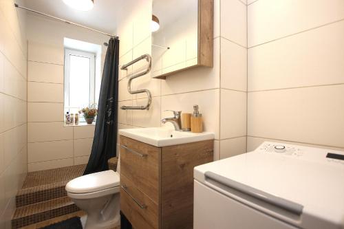 a small bathroom with a sink and a toilet at Riga Mezaparks apartment + private parking in Rīga