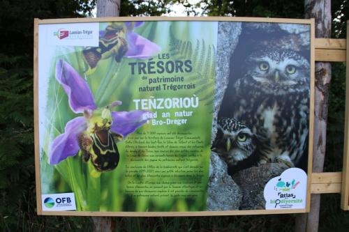 a sign for an event with owls and flowers at La petite Bretonne in Plounérin