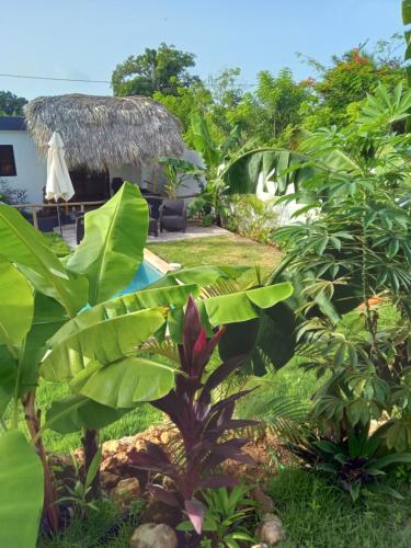 a view of the resort from the garden at BUNGALOWS COLIBRI in Las Galeras