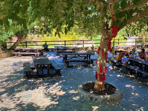 Un restaurante o sitio para comer en Casa do Poço (Vale Luis Neto-Retiro do Caldeirão)