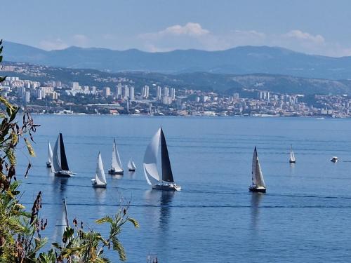 Apartment Bigeste - free parking - 2 minute walk to the beach - superfast wifi