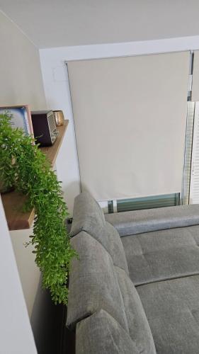 uma escada com uma planta na lateral em Casa Mi Maria em Benalup-Casas Viejas
