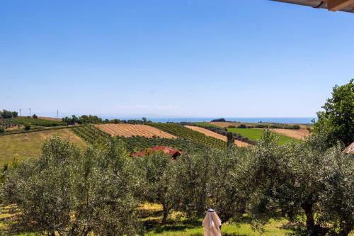 a view of a vineyard with trees and a field at Managraia in Makrýgialos