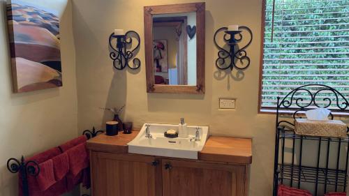 La salle de bains est pourvue d'un lavabo et d'un miroir. dans l'établissement Tussock Cottage, à Queenstown