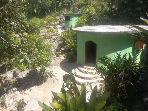 un pequeño edificio verde en medio de un bosque en Rabbit Home Xilitla cuarto Arcoiris, 