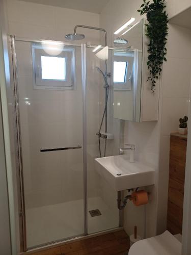 a bathroom with a shower and a sink at Apartment Banjol 4965b in Rab
