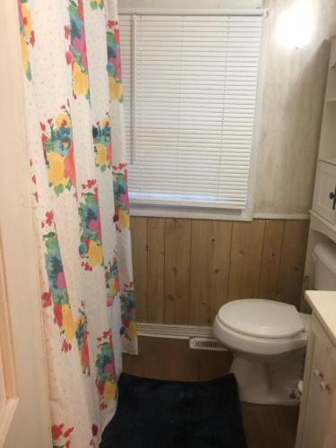 a small bathroom with a toilet and a window at Private Cottage in Rural Setting in Clemmons
