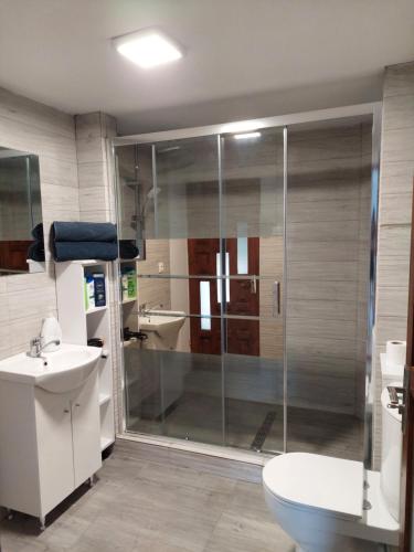 La salle de bains est pourvue d'une douche, de toilettes et d'un lavabo. dans l'établissement Cabană cu teren de tenis -- parter, à Băniţa