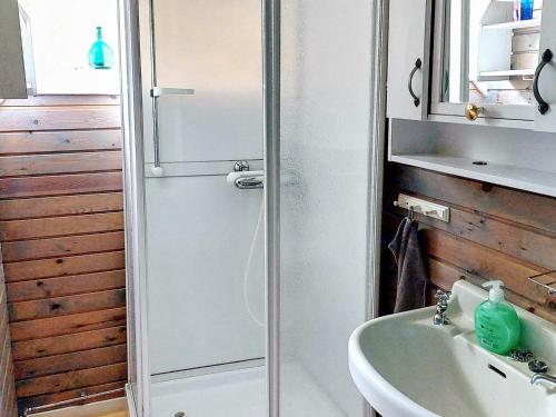W łazience znajduje się prysznic i umywalka. w obiekcie Holiday home Husum w mieście Husum