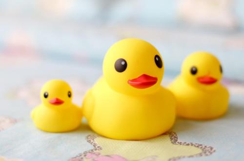 three yellow rubber ducks sitting on a table at Marco Polo Xiamen in Xiamen