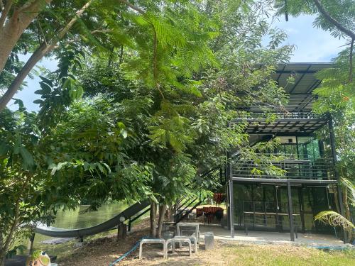 a building with a tree in front of it at ชลลดา ริเวอร์ โฮมสเตย์ แก่งกระจาน in Ban Wang Malako