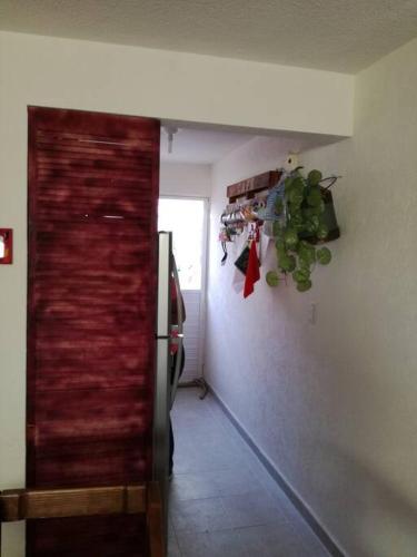 eine Küche mit einem Kühlschrank und eine Tür mit einer Pflanze in der Unterkunft Visita lo mejor de Querétaro in Pedro Escobedo