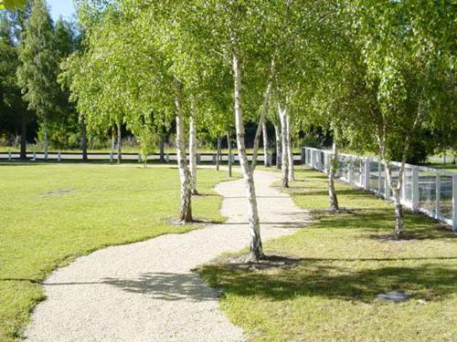 a path in a park with trees and a fence at Hanmer Springs Forest Camp Trust in Hanmer Springs