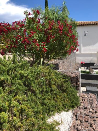 ogród z czerwonymi kwiatami na kamiennej ścieżce w obiekcie Maxima Sunset w miejscowości Sainte-Maxime