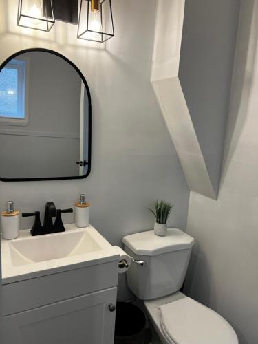 a bathroom with a sink and a toilet and a mirror at Cozy Home- Winnipeg Airport, Downtown and Polo Park in Winnipeg