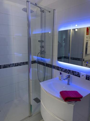 une salle de bain avec une douche, un lavabo et un miroir dans l'établissement Les 2 frères - Vue mer panoramique solarium - les Sablettes, à Saint-Mandrier-sur-Mer