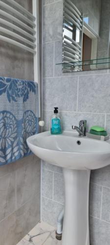 een badkamer met een witte wastafel en een spiegel bij Old plase in Tsalka