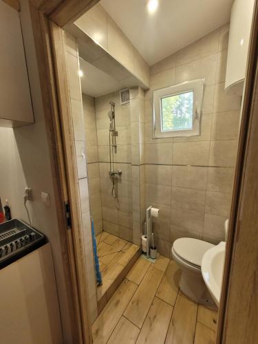 a small bathroom with a shower and a toilet at Domek Drewniany w Dolinie Symsarny in Lidzbark Warmiński