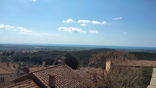 Eucalyptus House – Photos 2
