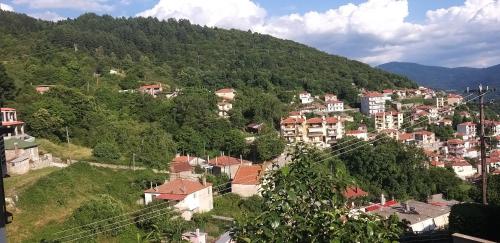 une ville sur une colline avec des maisons et des arbres dans l'établissement Το Σπίτι Της Ευτυχίας στούντιο, à Karpenísi