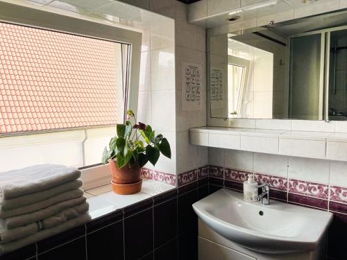a bathroom with a sink and a mirror and a plant at Mikalo House in Vilnius