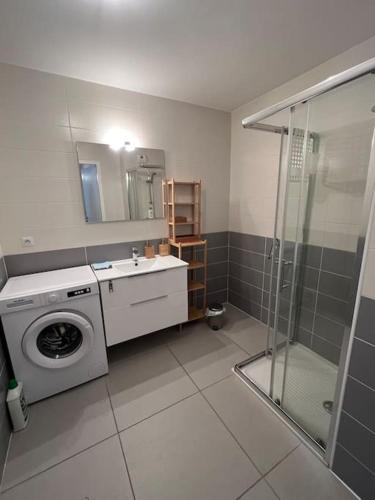 a bathroom with a washing machine and a sink at Spacieux Appart T3+terrasse in Aix-les-Bains