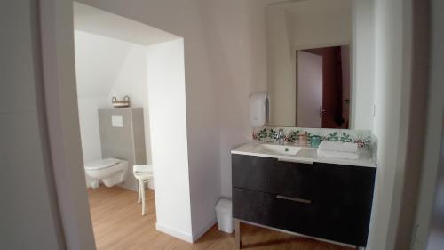 W łazience znajduje się umywalka, lustro i toaleta. w obiekcie LA MAISON DE NOS PARENTS w mieście Gonnehem