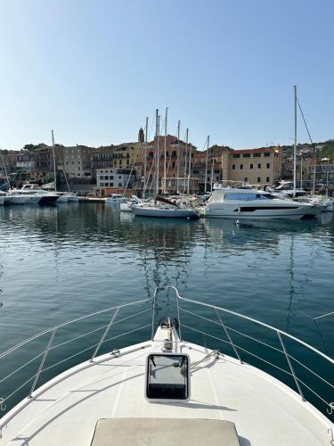 a boat is docked in a harbor with other boats at Bateau Vedette 14 mètres in Propriano