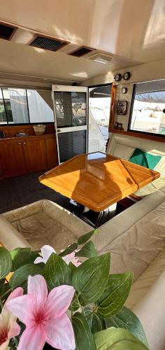 une table au milieu d'une pièce avec une plante dans l'établissement Bateau Vedette 14 mètres, à Propriano