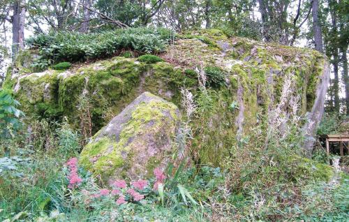 a rock covered in moss and flowers in a garden at Gorgeous Home In Lönashult With Wifi in Lönashult