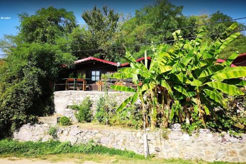 a house behind a stone wall with a plant at Bungalow- casute in Orşova