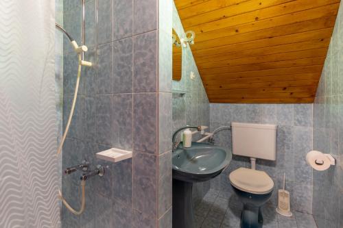 bagno con servizi igienici e lavandino di Apartment Malej a Bohinj