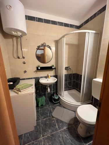 La salle de bains est pourvue d'un lavabo, d'une douche et de toilettes. dans l'établissement Apartment Dilba, à Novalja