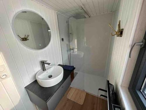 ein Bad mit einem Waschbecken und einem Spiegel in der Unterkunft Rêve sur l’eau in Moisson