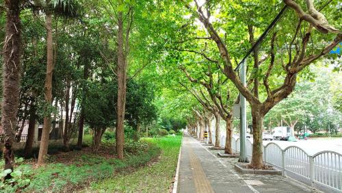Ein Garten an der Unterkunft Mrs Li's Home -- Metro Line No 7 nearby --Shanghai University