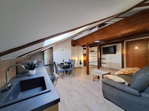 une cuisine et un salon avec un canapé et un évier dans l'établissement Apartmani Kozala, à Rijeka