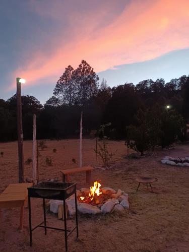 a fire pit in a field with a table and bench at Parador Arew 1 La Energa Que Impulsa El Alma in Creel