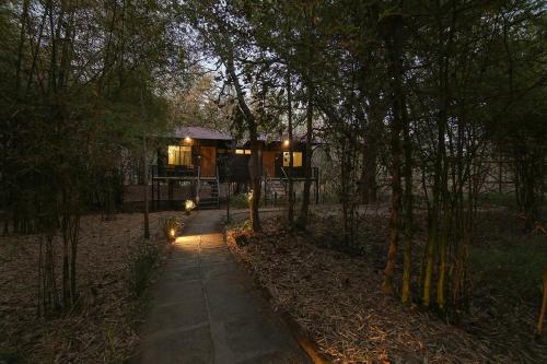 a tiny house in the woods at night at Pench Wilderness Camp Resort in Khawāsa
