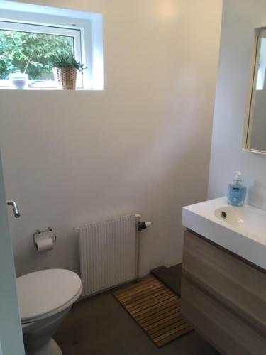 uma casa de banho com um WC, um lavatório e uma janela em Villa med private værelser og delt køkken/badrum, centralt Viby sj em Viby