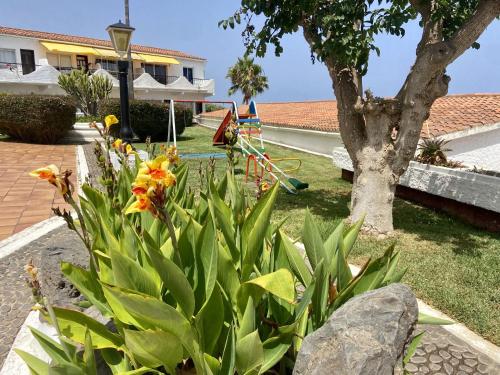 un jardín con parque infantil y un árbol en Guanche Bay, en Santa Cruz de Tenerife