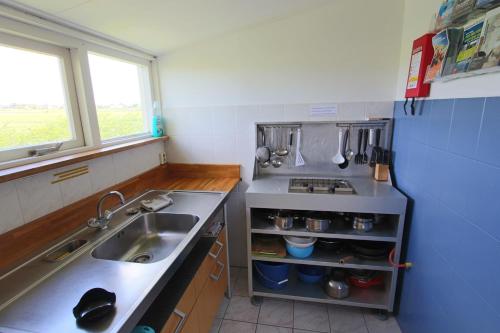 een kleine keuken met een wastafel en een aanrecht bij Tiny Pipowagen Koolmees in Oudesluis