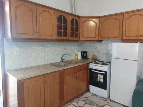 a kitchen with wooden cabinets and a white refrigerator at Studio με όλες τις ανέσεις in Vétrina