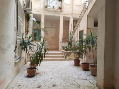 an empty hallway with potted plants in a building at CIRASA in Trapani