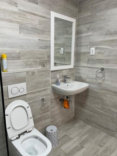 a bathroom with a toilet and a sink at The Oasis Accommodation in Lüderitz