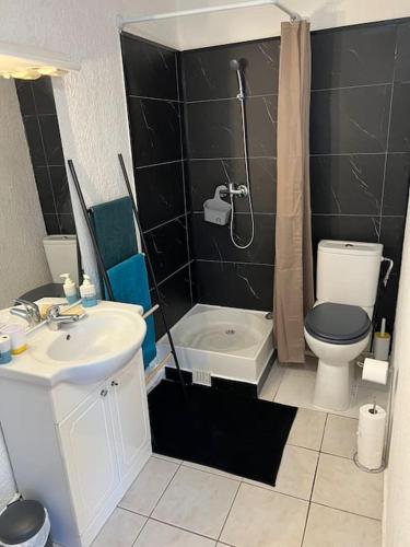 une salle de bain avec toilettes, lavabo et douche dans l'établissement Studio en Toit terrasse - Vue Mer - Grande Terrasse, à Toulon