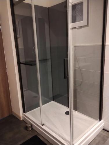 La salle de bains est pourvue d'une douche avec des portes en verre. dans l'établissement Gîte Alsace, à Appenwihr