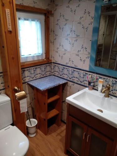 a small bathroom with a sink and a toilet at Precioso Apartamento en la Cerdanya in La Molina