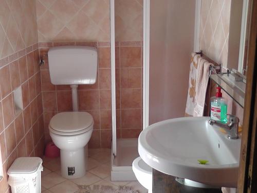 een badkamer met een toilet, een wastafel en een douche bij Sardinia Experience in Villamassargia