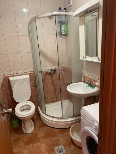 ein Badezimmer mit Dusche, Toilette und Waschbecken in der Unterkunft apartman "Sutorina" in Igalo