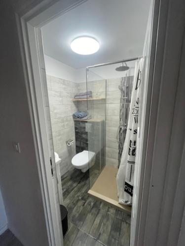 a bathroom with a toilet and a glass shower at LaVoiLaNoi in Mangalia